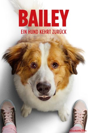 Bailey - Ein Hund kehrt zurück kinox