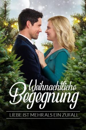 Weihnachtliche Begegnung - Liebe ist mehr als ein Zufall kinox