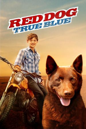 Red Dog – Mein treuer Freund kinox