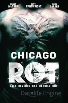 Chicago Rot kinox