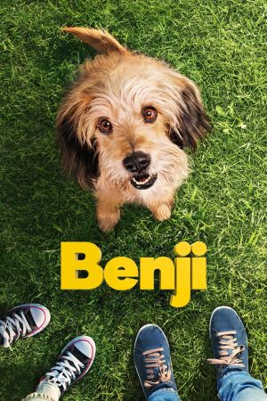 Benji kinox