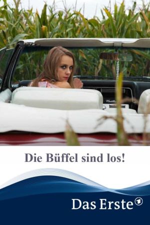 Die Büffel sind los! kinox