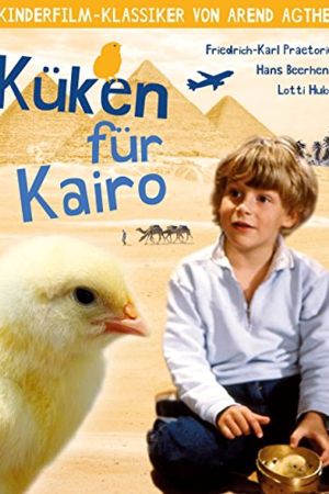 Küken für Kairo kinox