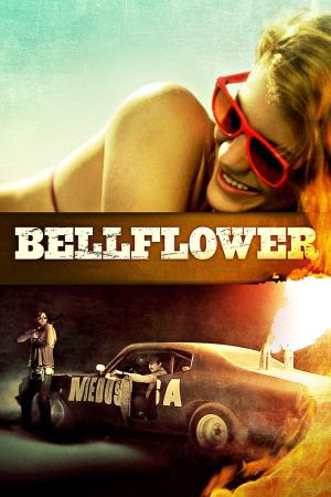 Bellflower kinox