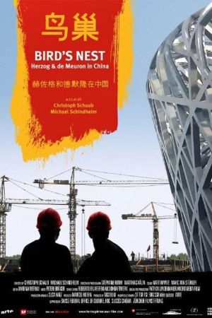 Bird's Nest - Herzog & de Meuron in China kinox