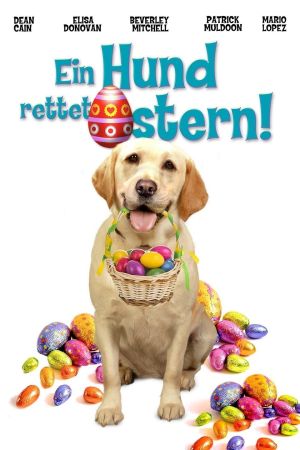 Ein Hund rettet Ostern kinox