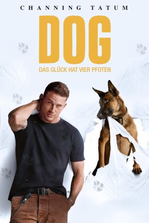 Dog - Das Glück hat vier Pfoten kinox