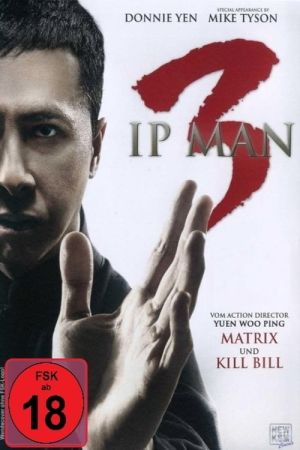 Ip Man 3 kinox