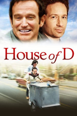 House of D kinox