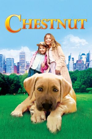 Chestnut - Der Held vom Central Park kinox