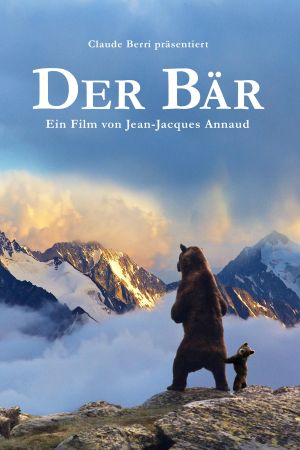 Der Bär kinox