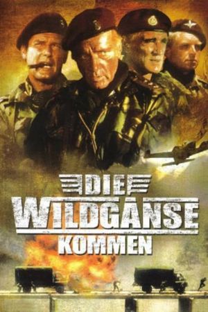 Die Wildgänse kommen kinox