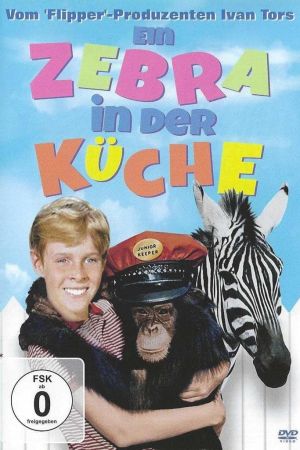 Ein Zebra in der Küche kinox