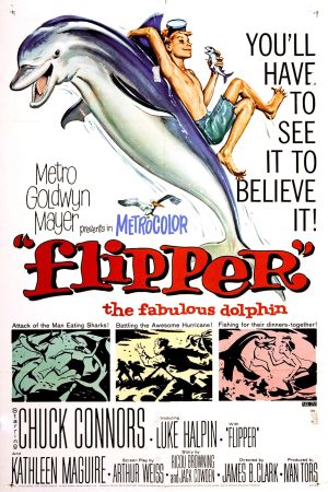 Flipper kinox