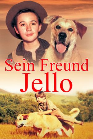 Sein Freund Jello kinox