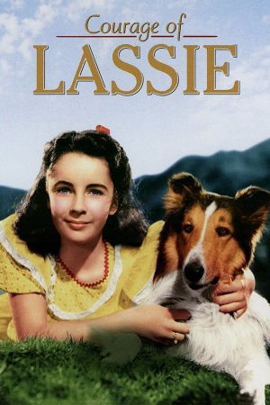 Lassie - Held auf vier Pfoten kinox