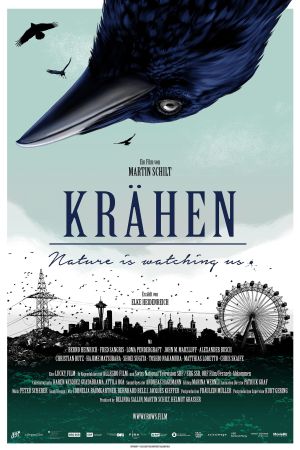 Krähen – Nature Is Watching Us kinox