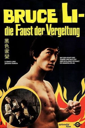 Bruce Li - Die Faust der Vergeltung kinox